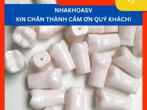 [GIẢM GIÁ] Răng nhựa nha khoa thực tập | Mô hình mài cùi răng đơn | (Chưa kèm ốc)
